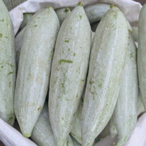 Snake Gourd — wholesale, Bangalore