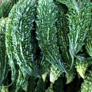 Bitter Gourd (large) — wholesale, Bangalore