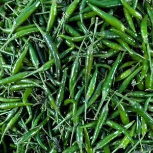 Green Chilli G4 (Dark) — wholesale, Bangalore