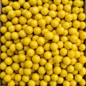 Lemon (yellow grade) — wholesale, Bangalore