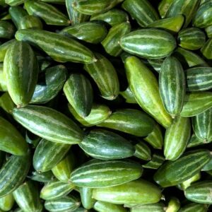Parval — wholesale, Bangalore