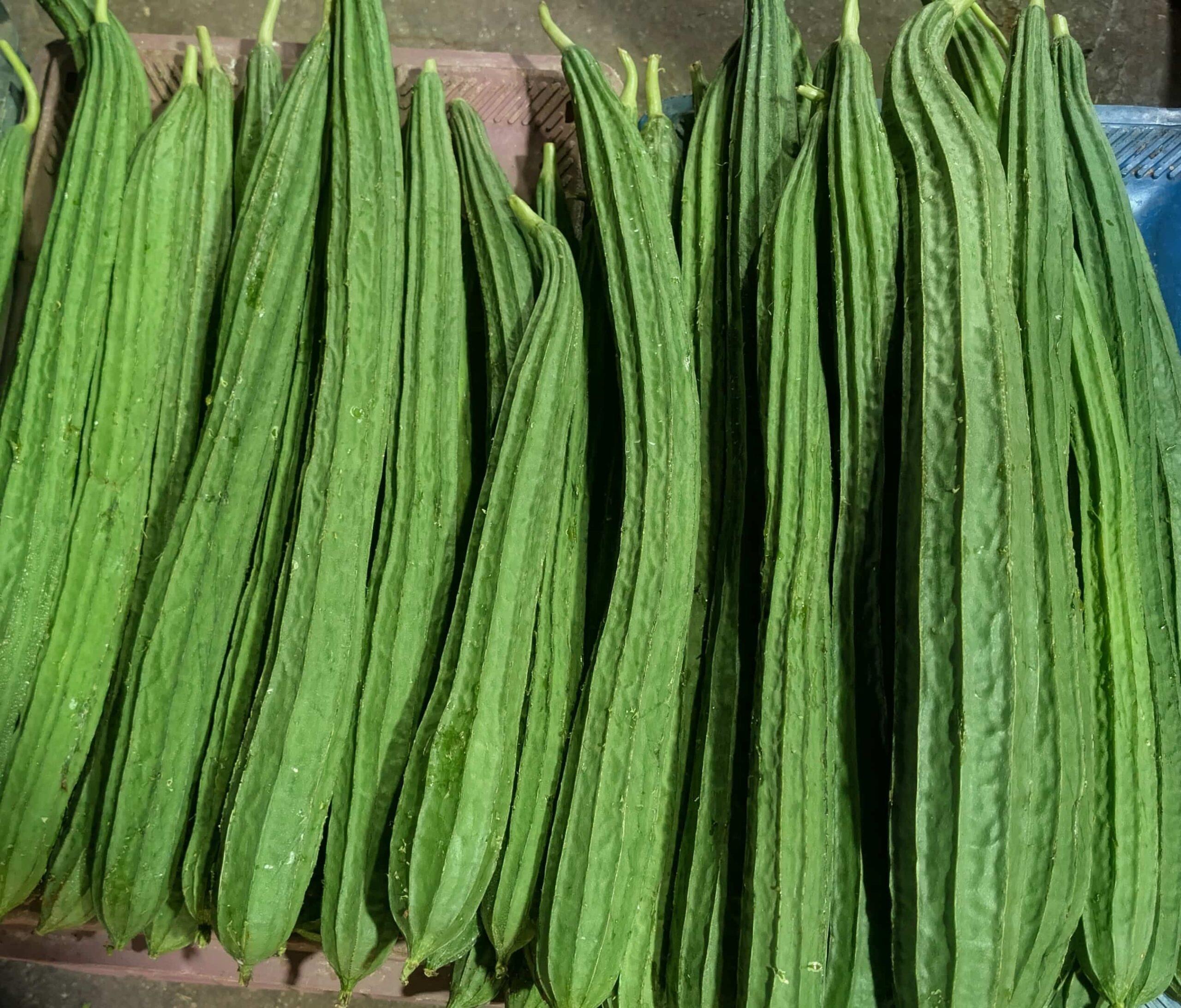 Wholesale Ridge Gourd Bangalore