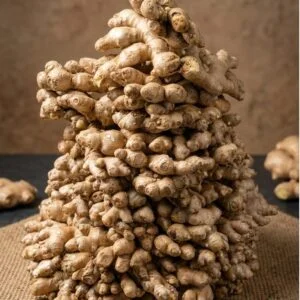 Ginger — wholesale, Bangalore