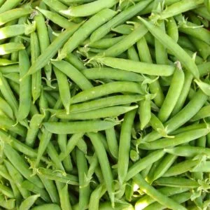 Green Peas — wholesale, Bangalore