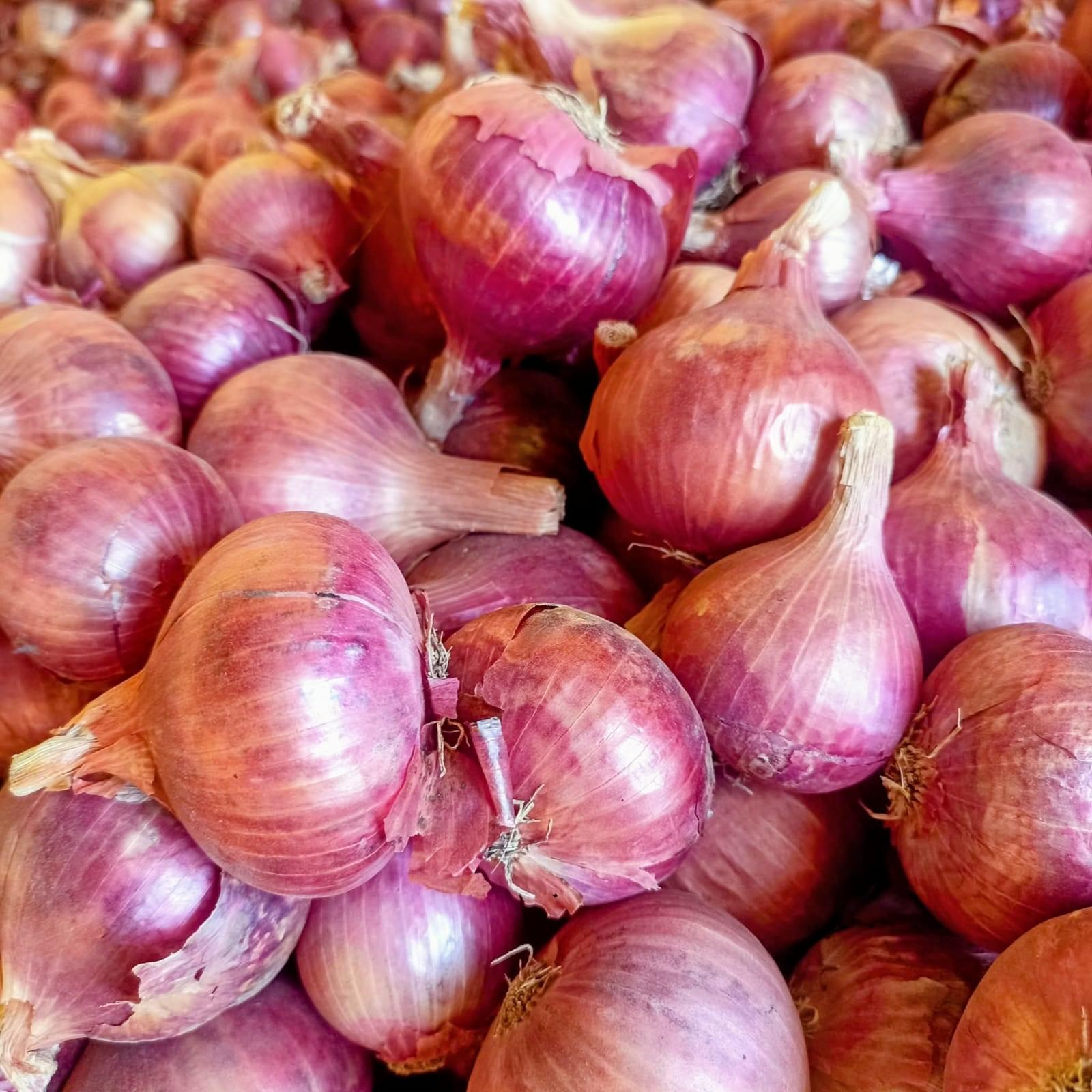 Wholesale Onion Bangalore