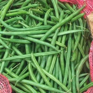 French Beans — wholesale, Bangalore