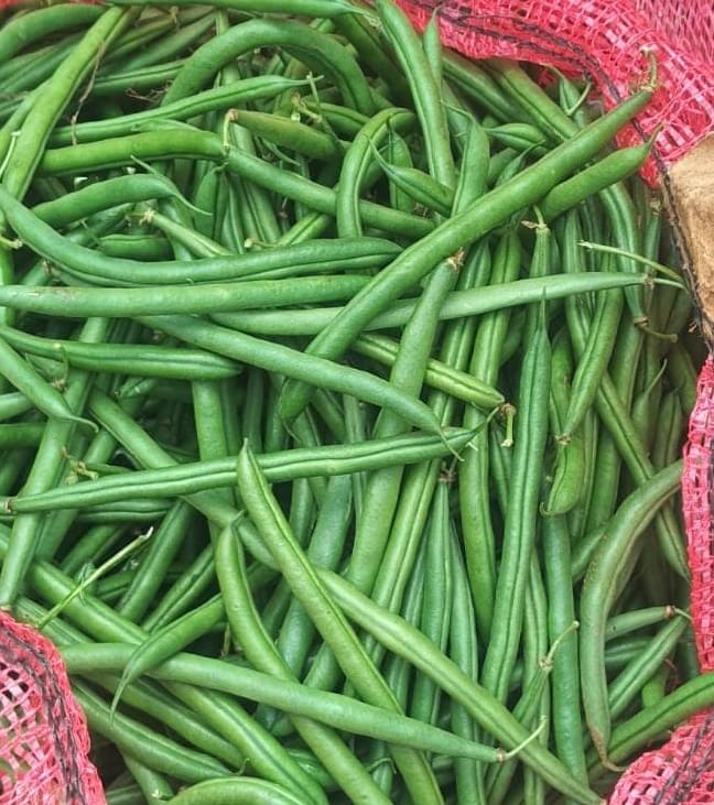 Wholesale French beans Bengaluru