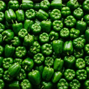 Green Capsicum — wholesale, Bangalore