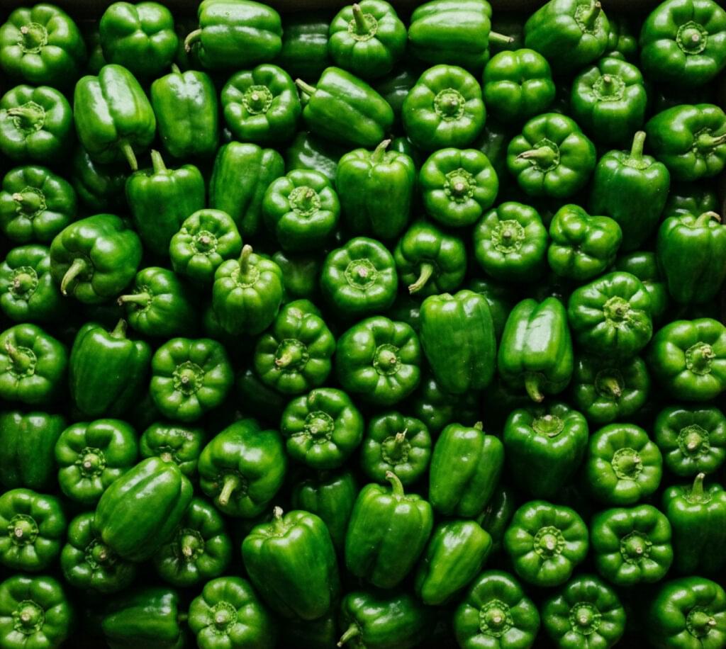 Wholesale capsicum Bangalore