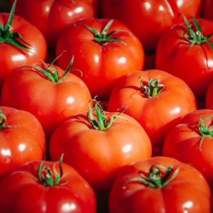 Naati Tomato — wholesale, Bangalore