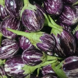 Brinjal — wholesale, Bangalore
