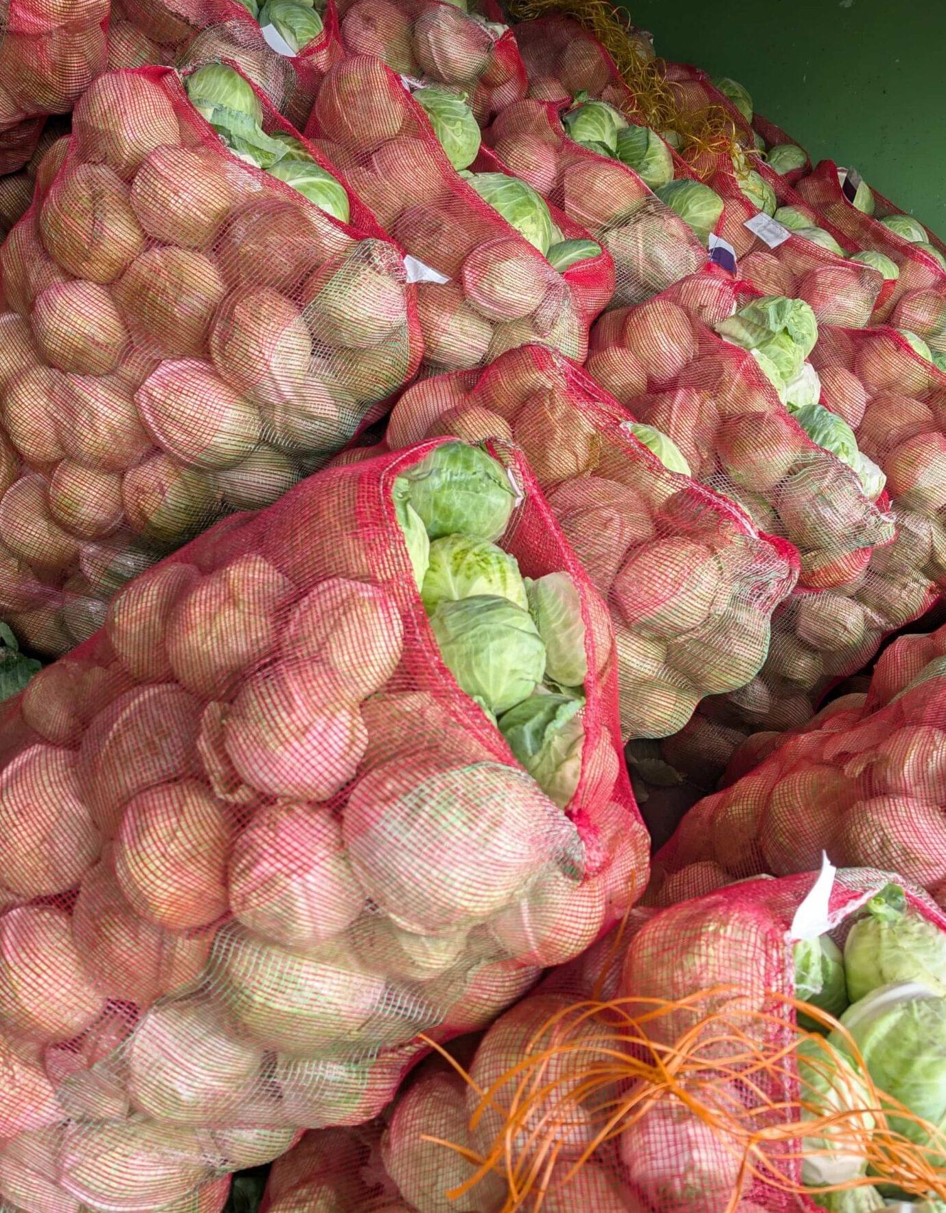WHOLESLAE CABBAGE BANGALORE
