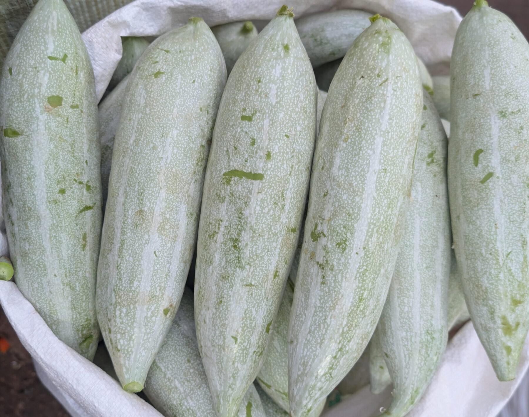 wholesale snake gourd bangalore
